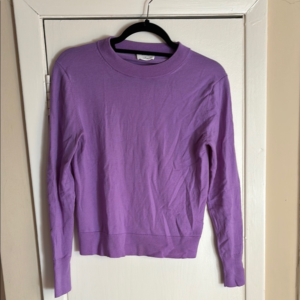 Aritzia Merino Wool Crewneck Sweater